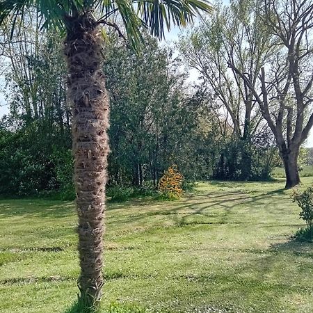 Ferme Aquinaut - Le Paradis Montesquieu-Volvestre エクステリア 写真