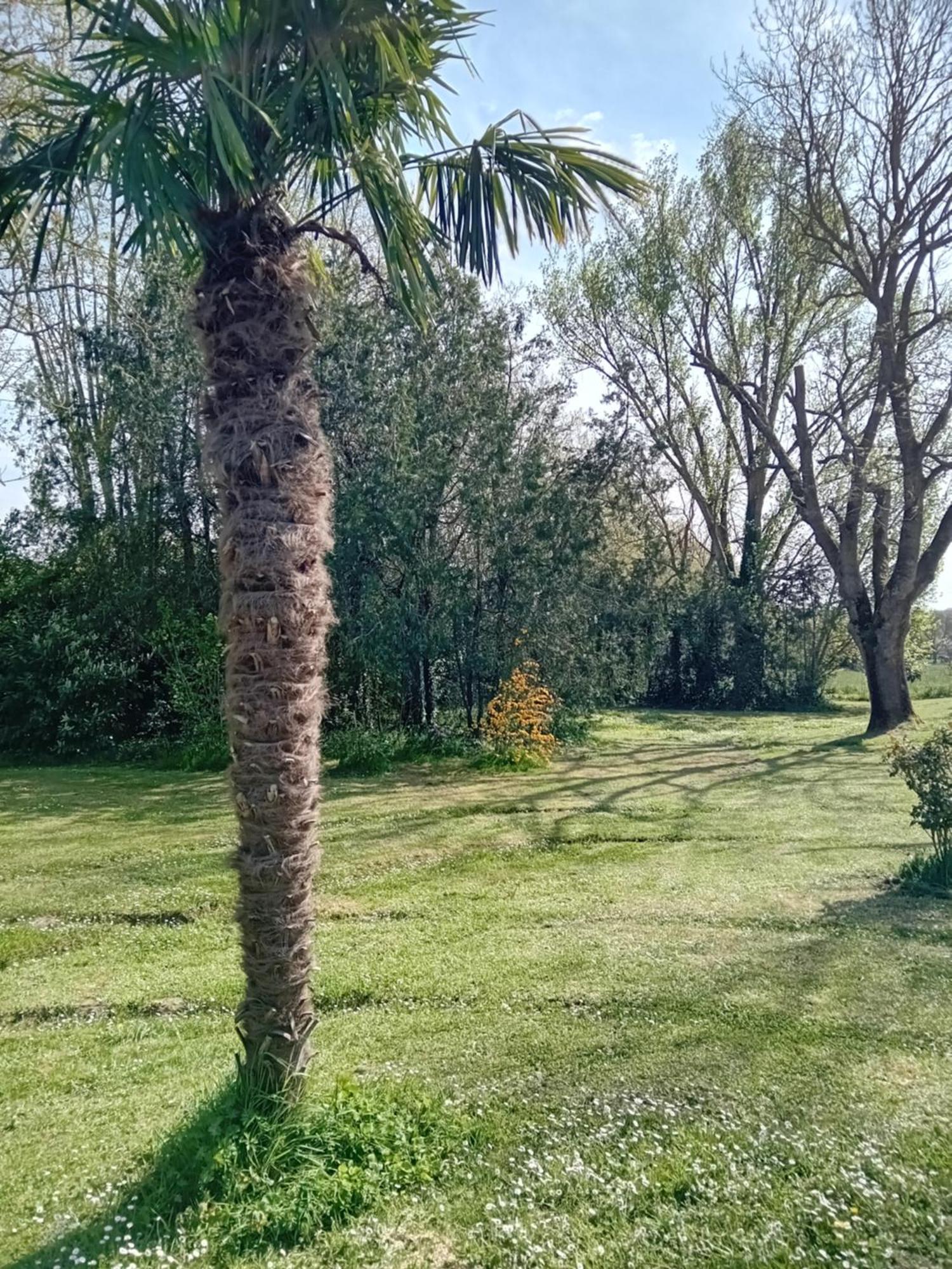Ferme Aquinaut - Le Paradis Montesquieu-Volvestre エクステリア 写真